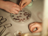 /album/noc-s-andersenom-slizolabacik/slizp1010248-stredne-12-jpg/